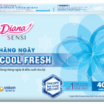 BANG-VE-SINH-HANG-NGAY-DIANA-SENSI-COOL-40-MIENG.png