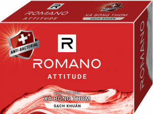 XA-BONG-ROMANO-SACH-KHUAN-ATTITUDE-90G.jpg